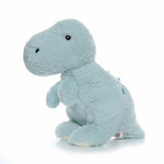 Green Dinosaur - 38cm Soft Toy - Barnshenn