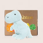 Green Dinosaur - 38cm Soft Toy - Barnshenn