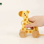 Meet your child’s new walking companion- the Pull along Giraffe Toy that’s as cute as it is helpful! Crafted from high-quality wood and designed with little ones in mind, our wooden pull-along giraffe encourages toddlers to take those first wobbly steps with confidence. The cheerful giraffe wobbles and rolls smoothly as it is pulled along, turning every walk into a fun adventure. This giraffe pull toy isn’t just adorable; it’s also a great tool for development. As your child tugs their new buddy along, they
